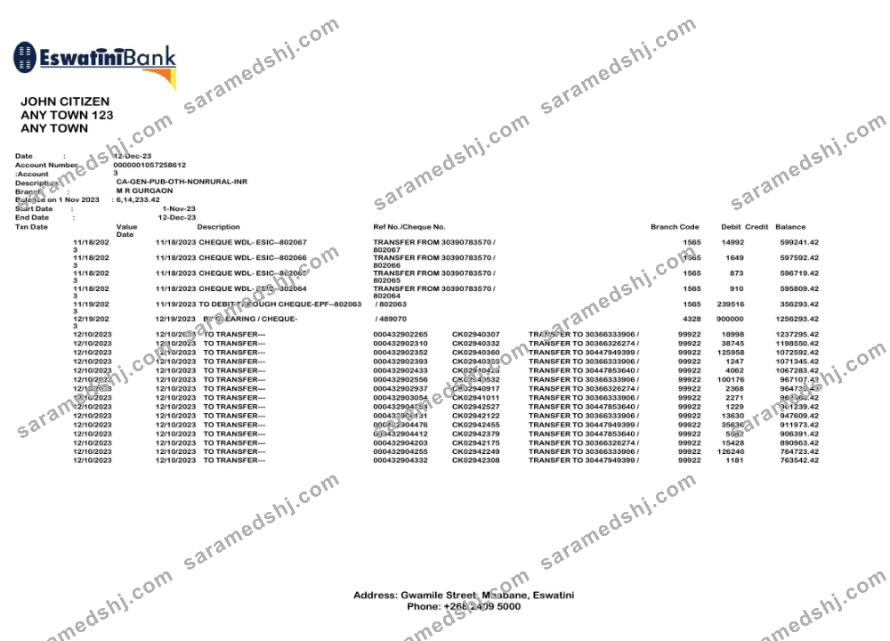 Eswatini Swazibank Limited bank statement Word and PDF template scr